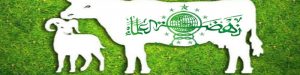 Pendataan Hewan Qurban Kota Blitar 2019